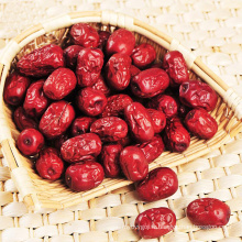 100% naturel frais jujube séché date rouge fournisseur chinois de date rouge